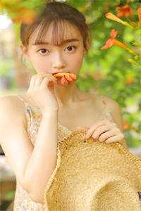 那年春天，海棠花未眠爆款热文