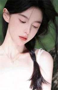 雪迟再不归好书