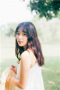 明月独要高悬小说全文免费