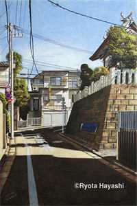 雁过无声秋试读