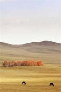 杨过：开局大战郭伯母，我无敌了全章节阅读