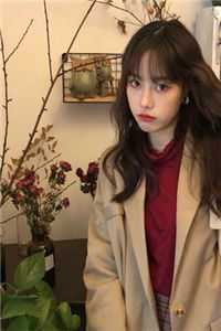 恰逢微光坠落时高质量好文