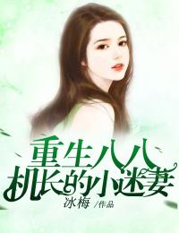 穿越乱世成兵户，从满级箭术开始！张辰张辰结局+番外