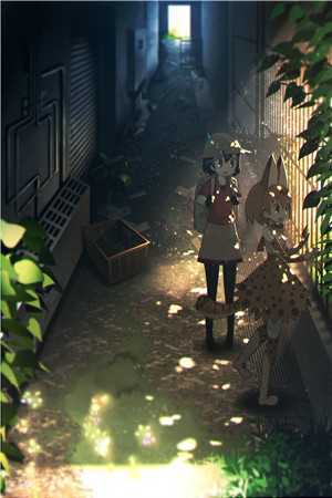 旧情晚来寒热门推荐