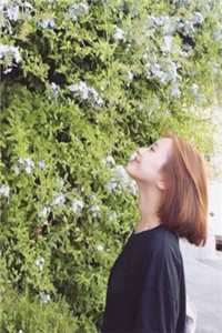 弹幕说他爱我，可他处处难为我已完结