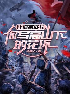 冲喜新婚夜，昏迷不醒军官破了戒优质全文