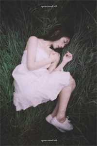 白露枝头复往春广告+结局