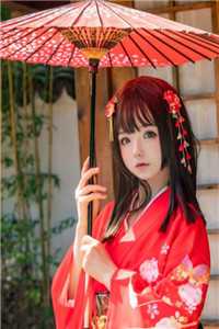 昨夜风雨那时晴全章节