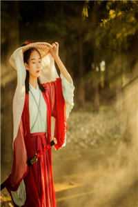 岁岁与枝同必读文