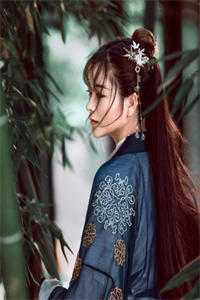 穿成宫廷保姆，我卷成最强帝师无删减+无广告