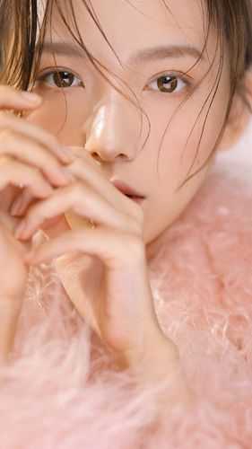 北雁流霜旧人寞在线阅读