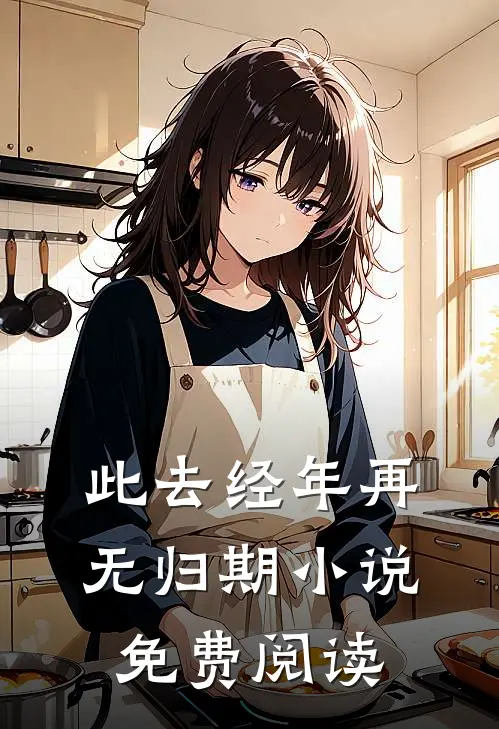 此去经年再无归期免费阅读