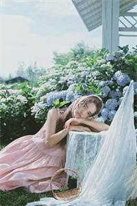 此后晚风皆是你爆款热文