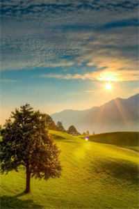 火灾时，老公选择救白月光的遗物新上热文