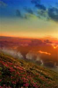 完蛋，空降上司居然是闷骚前夫全文+免费