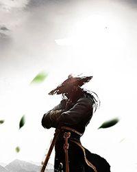 霍流年阮言妃写的小说岁岁千山泪两行