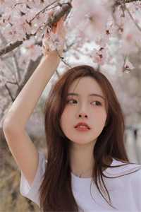 因为一千块高速费，我将妻子扔在服务区全本小说推荐