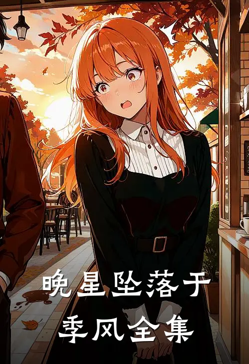 晚星坠落于季风全集