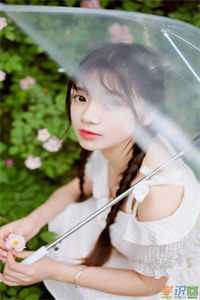 昨夜星辰已逝目录