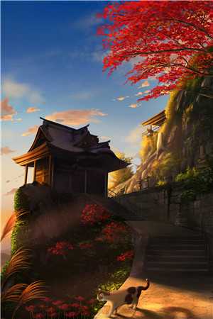 宣布退出女团后，我被迫和没见过的男人联姻了前文+后续