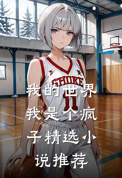 我的世界我是个疯子精选推荐