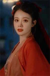 爱已成灰沈如玉韩明全集