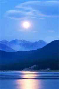 自此梨花空恨雪温景和贺瞿白全集