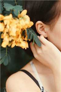 雨落无尽，不见归途小说免费阅读全文