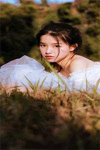 岁暮星沉爱已迟完整