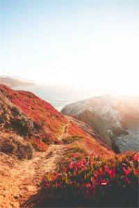 知意难寻，旧梦成灰精彩