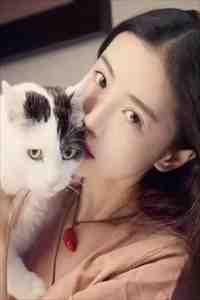 何处盛放的红蔷薇后续