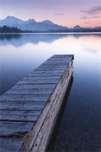 不惜年华赠离别在线