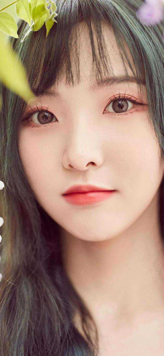 我决意赴死后，迟来的爱才汹涌全文+后续