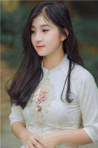 远山远舟无雁回完本