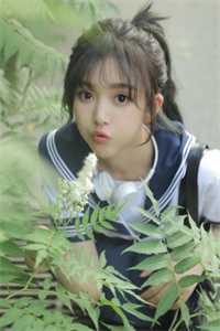 却道海棠依旧否小说在线阅读免费