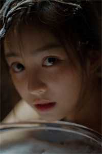 北城旧梦扰清风连载