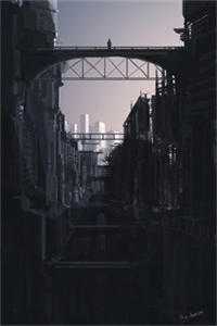 先孕后爱，大佬又撩又会宠必读文