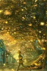 别在将就里说爱我连载