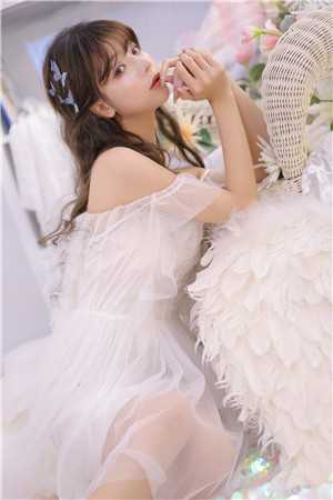 陪她看尽维港夜章节