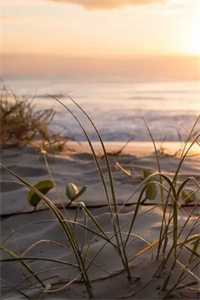 旧梦搁浅于时光后续+无弹窗