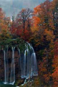 爱的时效热门小说