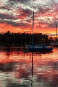 情深朝朝如许章节