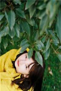 社畜神医暴富指南：从权贵到江湖前文+番外