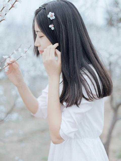 孤月难明料峭梦高口碑
