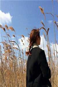 爸爸基础，妈妈就不基础好书