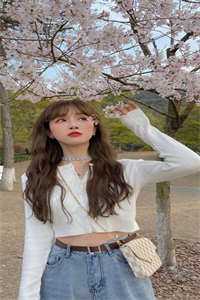 门徒后续+无弹窗