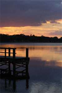 我资助的舞蹈生找上门，要做总裁夫人热门小说