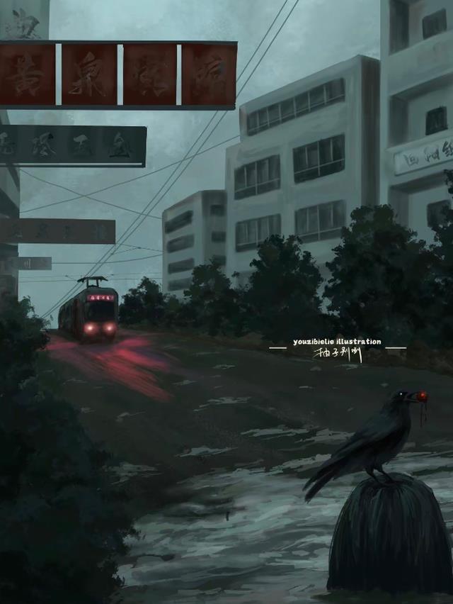 半卷书残烛影深免费阅读完整版