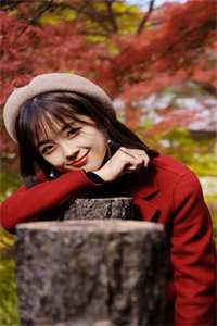 春迟梦醒不曾温火爆小说