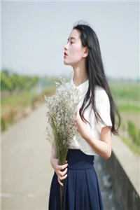 岁暮星沉爱已迟晏清河沈昭然后续+全文